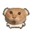 Server icon