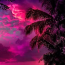 💫Purple Paradise Gaming Club💫