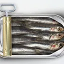 Can o’ Sardines