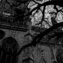 ᛝ . NOIR