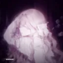 ⋆˚꩜｡𝑳𝒐𝒂𝒅𝒊𝒏𝒈...