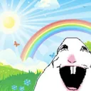 Looking for friends (dm)