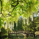 Arboretum