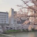 ꒰ 🍥 .   。花森学園 ◟ ``