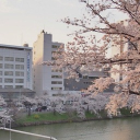 ꒰ 🍥 .   。花森学園 ◟ ``