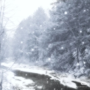 ﹕ ꒰ა  𝚠𝚒𝚗𝚝𝚎𝚛 𝚠𝚘𝚗𝚍𝚎𝚛𝚕𝚊𝚗𝚍 .ᐟ  ֹ   ₊