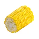 All About Corn discord icon