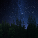 The Stars Reborn