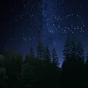 The Stars Reborn