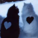 Paws and partners🐾
