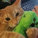 cool cat clubhouse