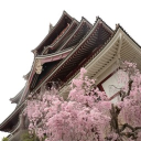osaka セ