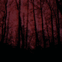 ✚ ₊   Slasher ﹒ Movie Archive  ✧˖°.