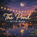 The Pond After Dark