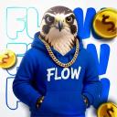 FLOW E-SPORTS 🦅 | SALAS 1C