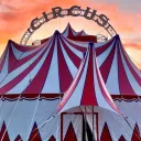 The Ethical Circus