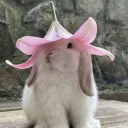 𝙗𝙪𝙣𝙣𝙞𝙚𝙨 ⊹ ˖ Ი𐑼
