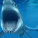 BLAAAARGH