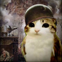cat's army