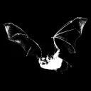 Bat