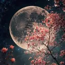 THE MOON