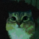 𝐀𝐮𝐭𝐢𝐬𝐭𝐢𝐜 𝐂𝐚𝐭𝐬