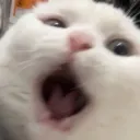𝐌𝐨𝐲𝐞𝐨𝐫𝐚 𝐂𝐡𝐢𝐧𝐠𝐮𝐝𝐞𝐮𝐥