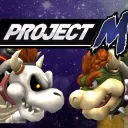 PM Bowser Discord