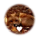 THE FOX DEN ⸝⸝ 🦊