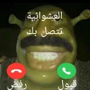 قمع البرماوية