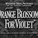 The Orange Blossoms for Violet YTP Collab