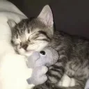 /dreaming of you
