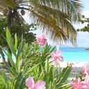 [2/24] Tropical Escapade - s1