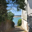 Rosebay 𝜗ৎ