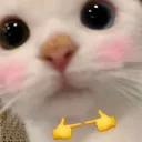 Server icon