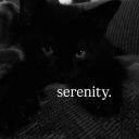 serenity ୭ ᵎᵎ