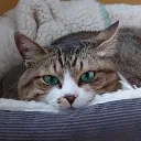 ゲームでゆっくり