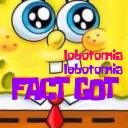 fact got serwer