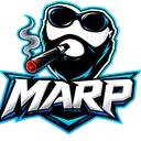 Project - MARP ⏳