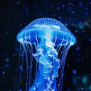 Jellyfish Lake