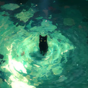 ≽^• ˕ • ྀི≼ 𓈒𓏲 ׁ𓈒 ݁Catclipse ᣟ⋆. ˚