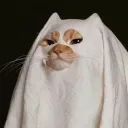 Sleepy Hallow 18+