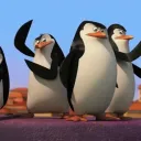 ᴀɴᴛᴀʀᴄᴛɪᴄᴀ 🐧