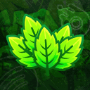 MintShop™