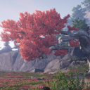 Co-op Corner
