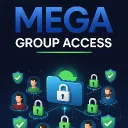 MEGA LINK AND GROUP 's server