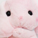 ꒰ঌ   cakerie   ݁ ⑅