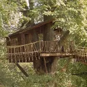 🍃・the treehouse