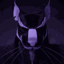 Splinter's Dojo