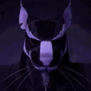 Splinter's Dojo